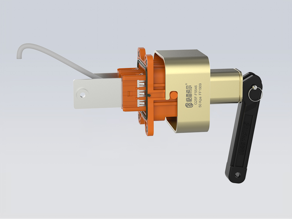 G25F系列格雷希快速接頭