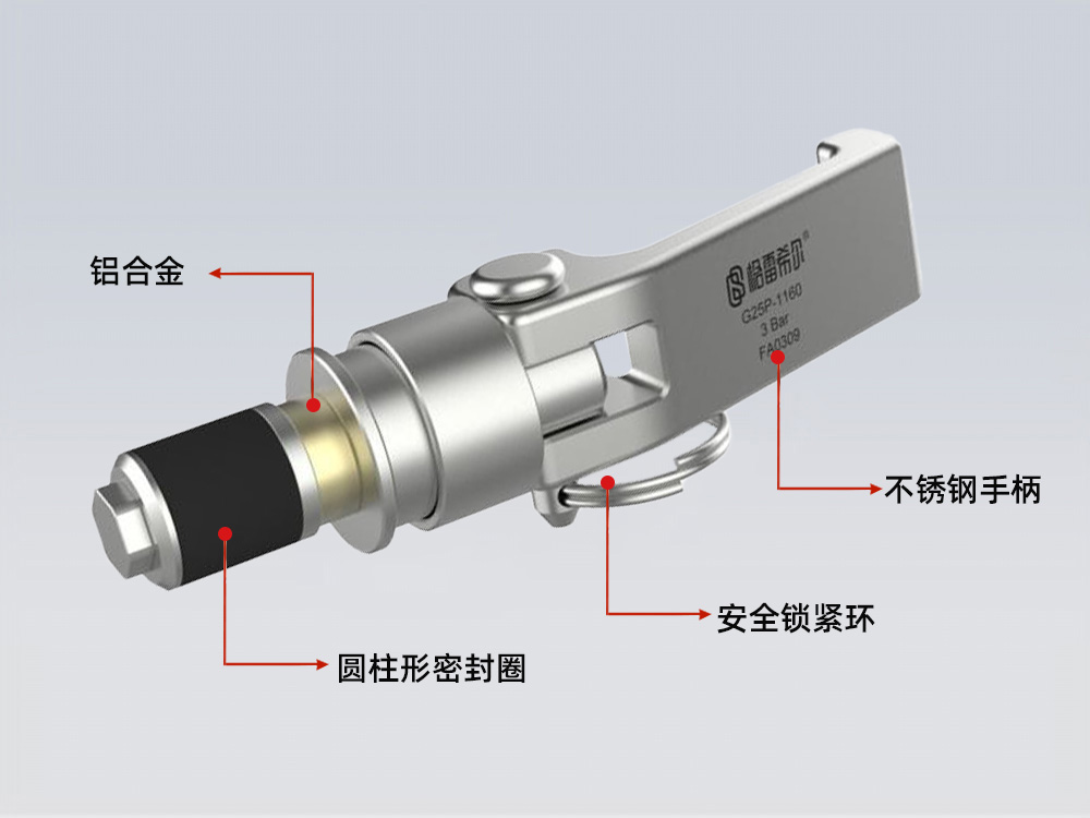 格雷希爾G25P系列低壓內(nèi)脹式密封測(cè)試接頭